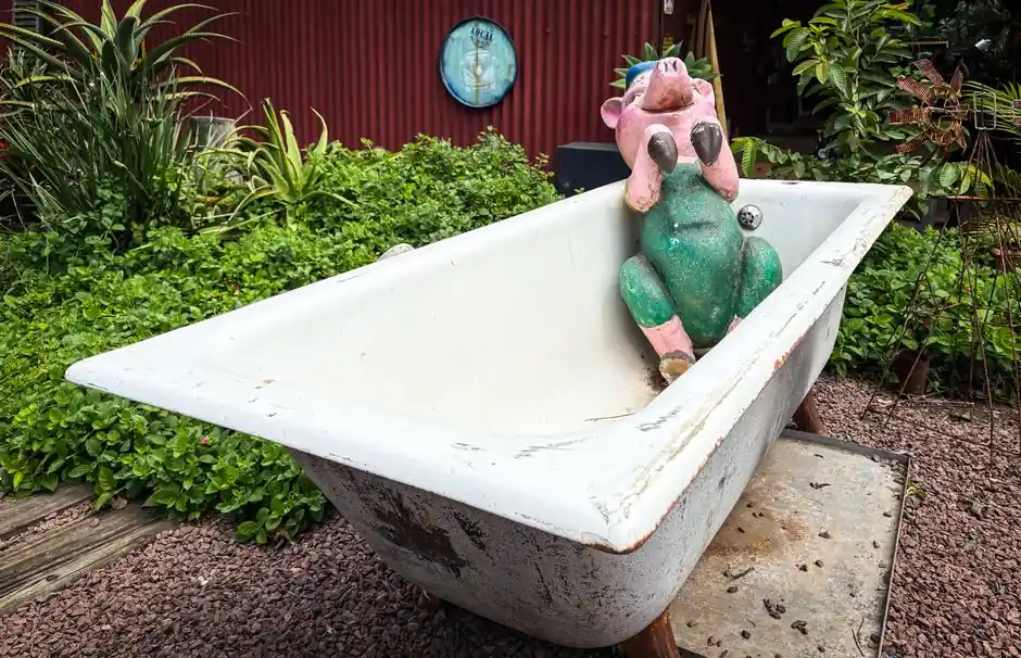 A charming outdoor scene featuring a vintage bathtub with a whimsical pink pig sculpture, surrounded by lush greenery.